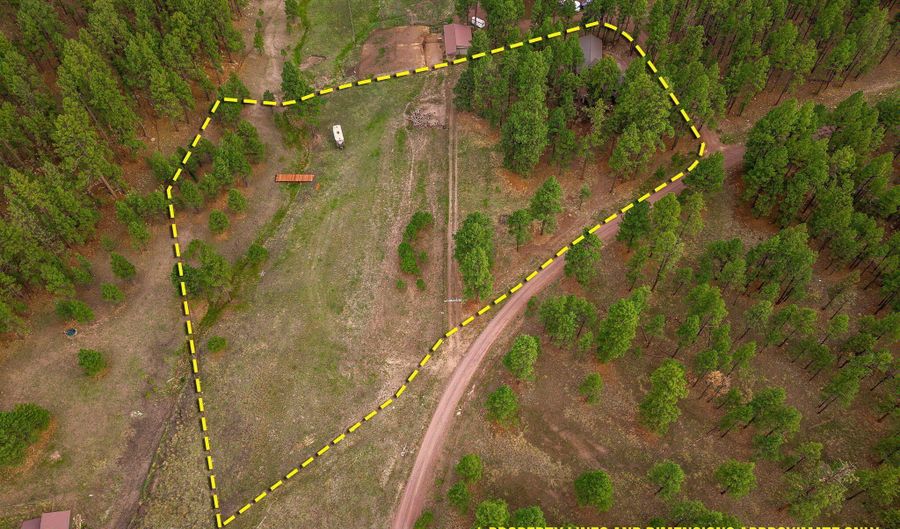 36 County Road N2147, Alpine, AZ 85920 - 3 Beds, 3 Bath