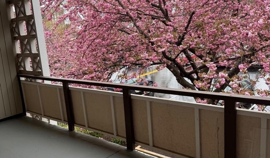 7553 SPRING LAKE Dr #D, Bethesda, MD 20817 - 2 Beds, 1 Bath