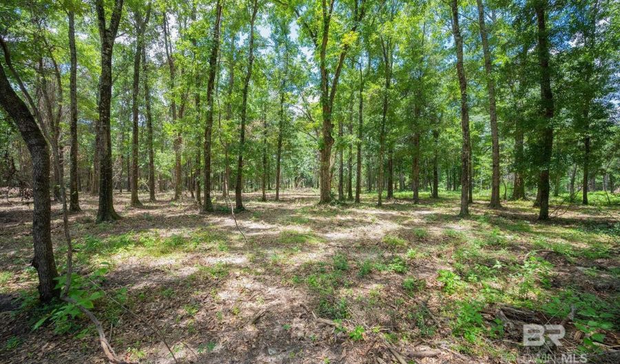 0 County Road 86, Bay Minette, AL 36507 - 0 Beds, 0 Bath