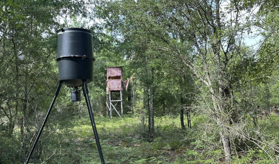 40 Ac +/- Old River Rd, Baker, FL 32531 - 0 Beds, 0 Bath