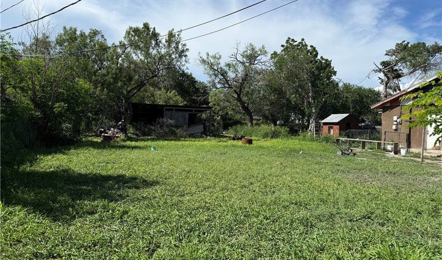 Farm Street, Alice, TX 78332 - 0 Beds, 0 Bath