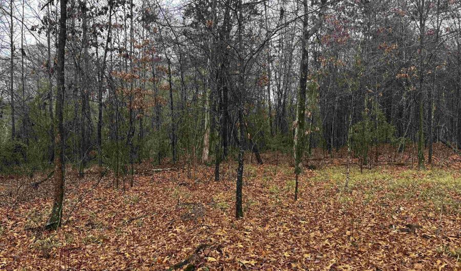 67 Old Wire Rd, Atkins, AR 72823 - 0 Beds, 0 Bath