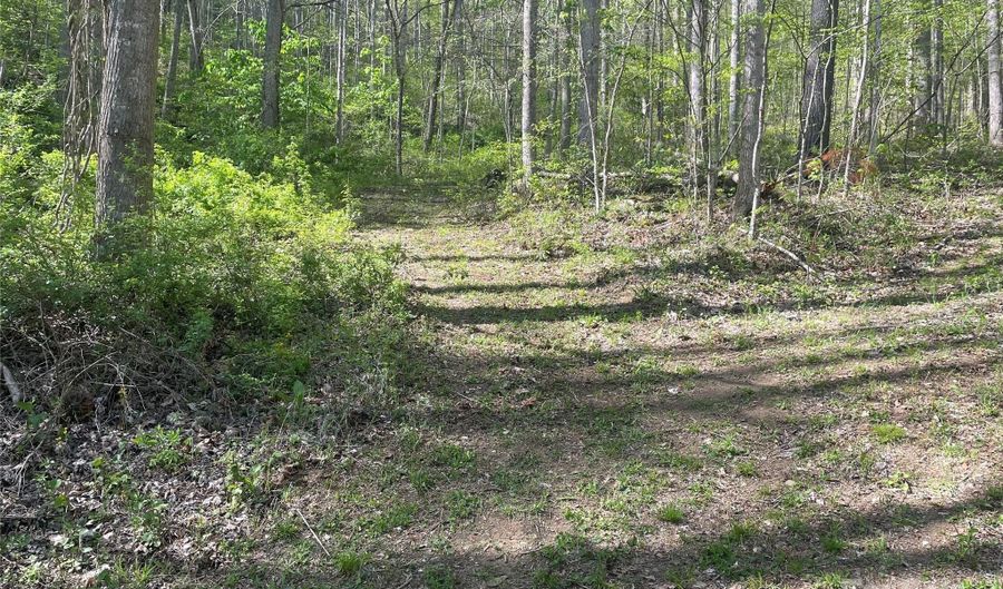 Martins Creek Road, Barnardsville, NC 28709 - 0 Beds, 0 Bath