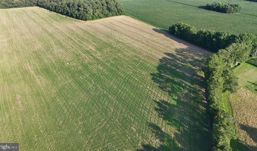 PARCEL C RUSSELL, Bridgeville, DE 19933 - 0 Beds, 0 Bath