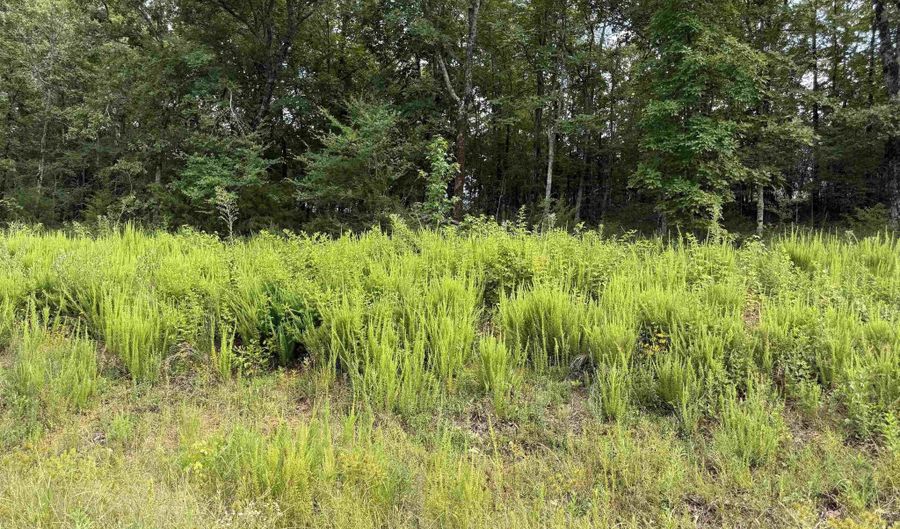 Lot 37 Crested Butte, Austin, AR 72007 - 0 Beds, 0 Bath