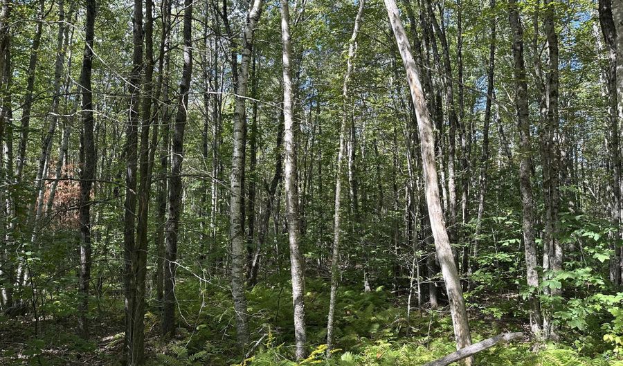 35-3 Jones Hill Rd, Appleton, ME 04862 - 0 Beds, 0 Bath