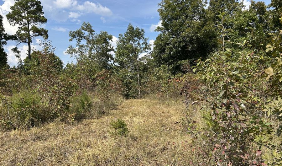 Tbd 7885 County Road 306 Pvt Drive-B, Ava, MO 65608 - 0 Beds, 0 Bath