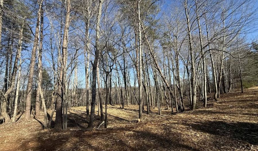N Taxiway Dr lot # 12, Albany, KY 42602 - 0 Beds, 0 Bath