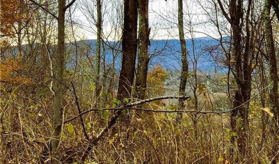 Lot 31 LarkSpur Trail, Banner Elk, NC 28604 - 0 Beds, 0 Bath