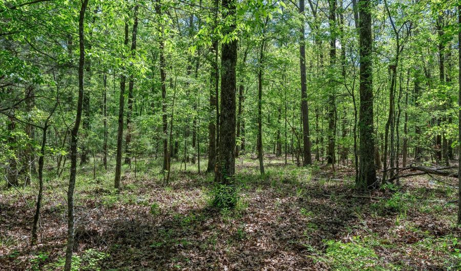 Hwy 160, Benton, LA 71006 - 0 Beds, 0 Bath