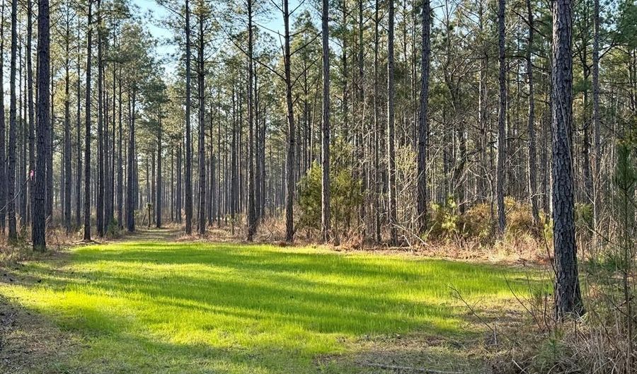 Highway 28, Abbeville, SC 29620 - 0 Beds, 0 Bath
