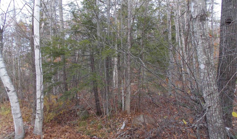 Mittenwald Strasse Road lot 49, Bartlett, NH 03812 - 0 Beds, 0 Bath