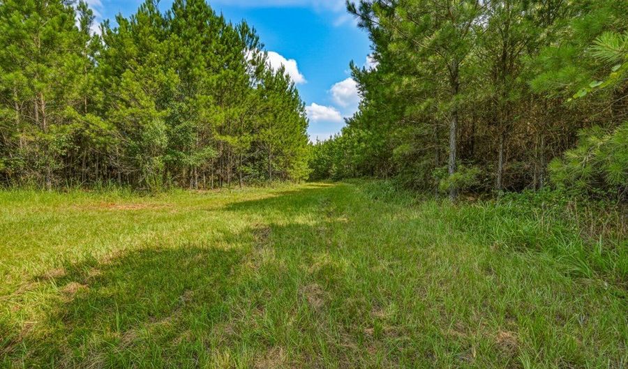 Harry Priddy Road, Americus, GA 31719 - 0 Beds, 0 Bath