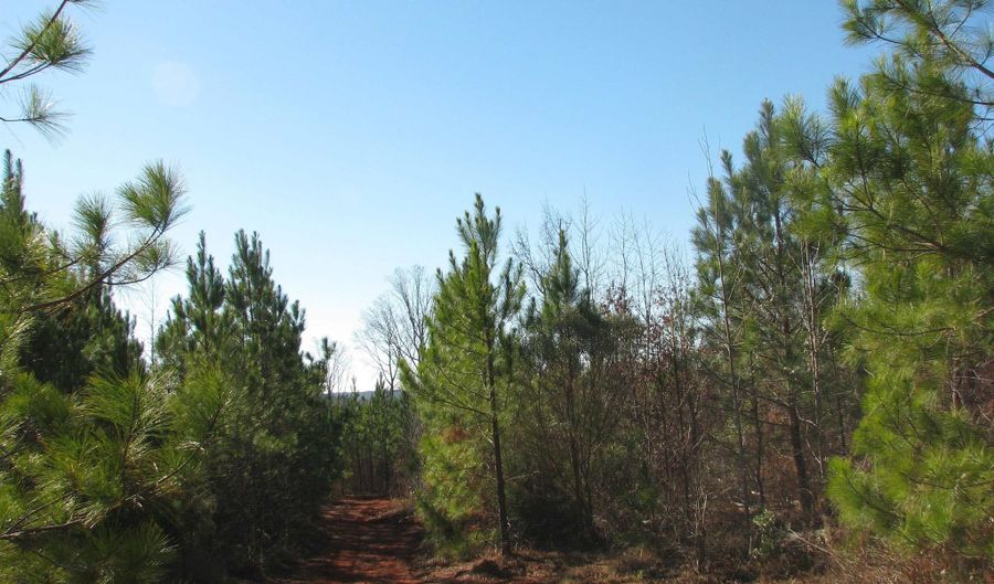 Buckhead Rd, Blair, SC 29015 - 0 Beds, 0 Bath