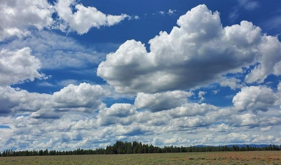 Maple Way lot 4, Bly, OR 97622 - 0 Beds, 0 Bath