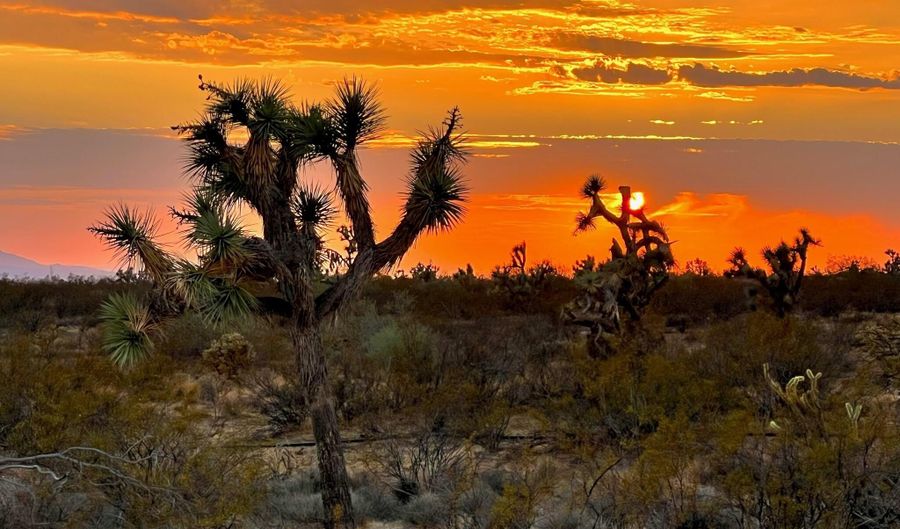 2358 S Cattle Crossing Rd, Yucca, AZ 86438 - 0 Beds, 0 Bath