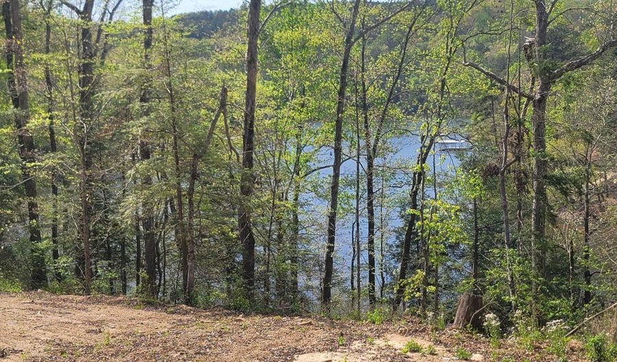458 Co Rd 4036, Arley, AL 35541 - 0 Beds, 0 Bath