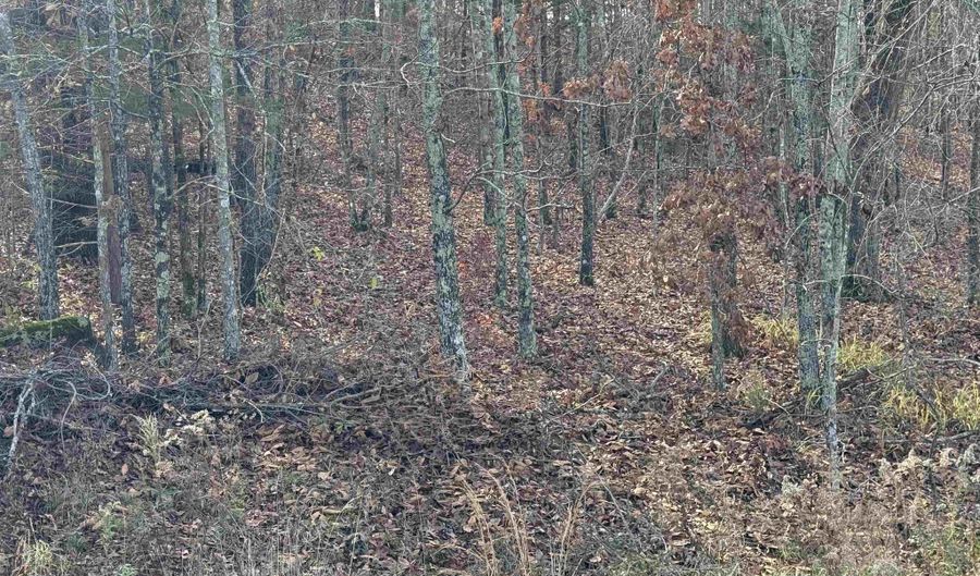 Tract 94 95 Vernon Court Road, Austin, AR 72007 - 0 Beds, 0 Bath