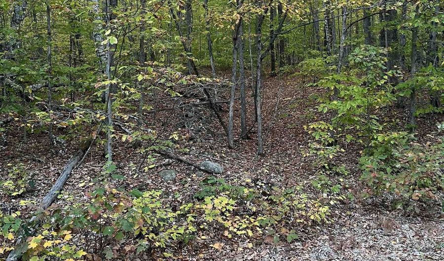 10-4 1 David Thompson Dr, Campton, NH 03223 - 0 Beds, 0 Bath