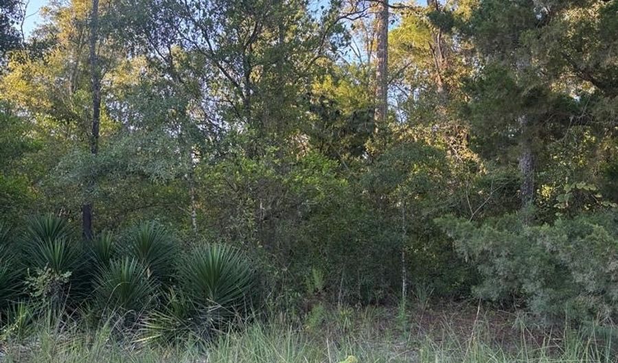 50 Th St, Bell, FL 32619 - 0 Beds, 0 Bath