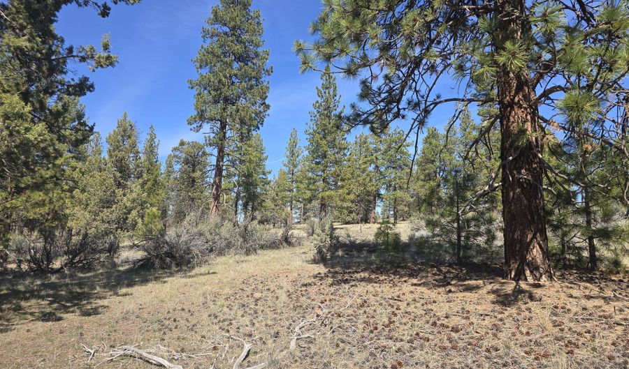 Widgeon Drive 39, Bonanza, OR 97623 - 0 Beds, 0 Bath