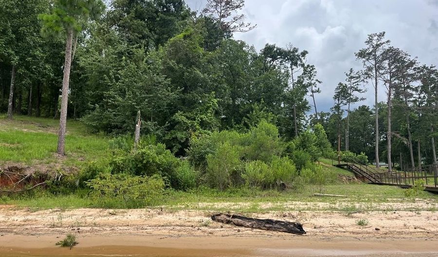 TBD Lakeshore Drive, Abbeville, AL 36310 - 0 Beds, 0 Bath