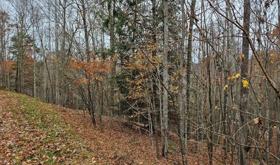 Fox Hollow Dr lot 17, Bastian, VA 24314 - 0 Beds, 0 Bath
