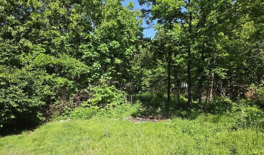 11 Private Rd AA-84, Alton, MO 65606 - 0 Beds, 0 Bath