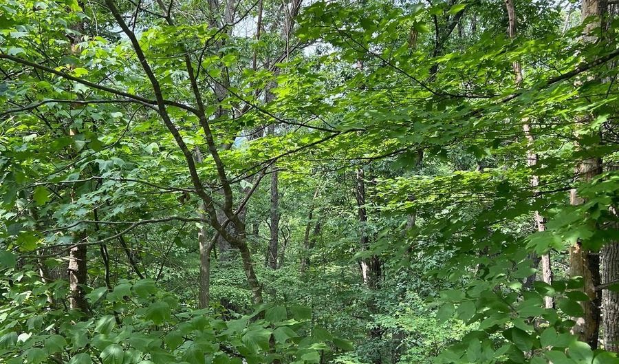 Lot 156 & 158 VICKI, Basye, VA 22810 - 0 Beds, 0 Bath
