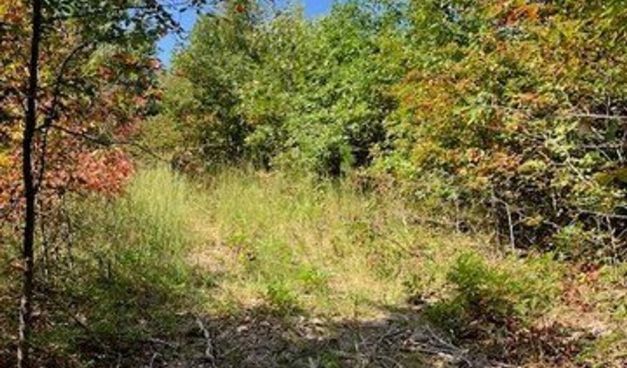 10 Church Road CR 114, Annapolis, MO 63620 - 0 Beds, 0 Bath