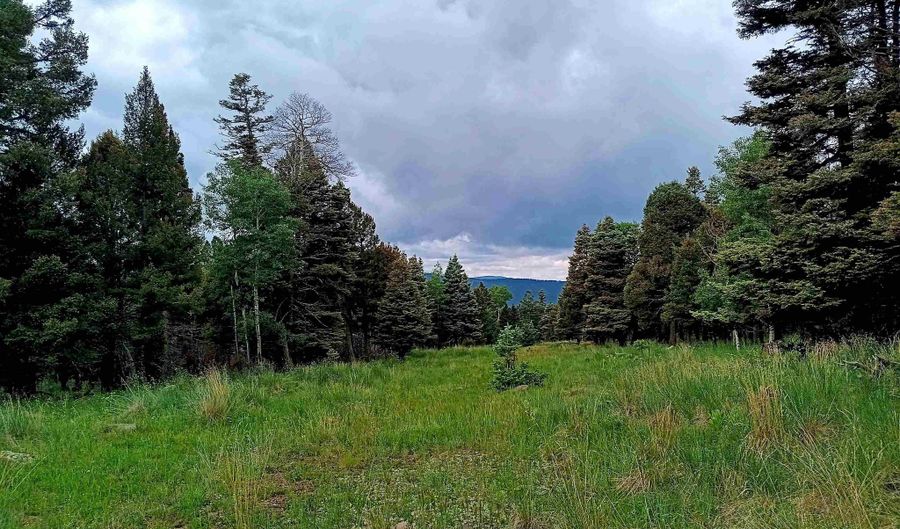 Lot 1220 Rainbow Overlook, Angel Fire, NM 87710 - 0 Beds, 0 Bath