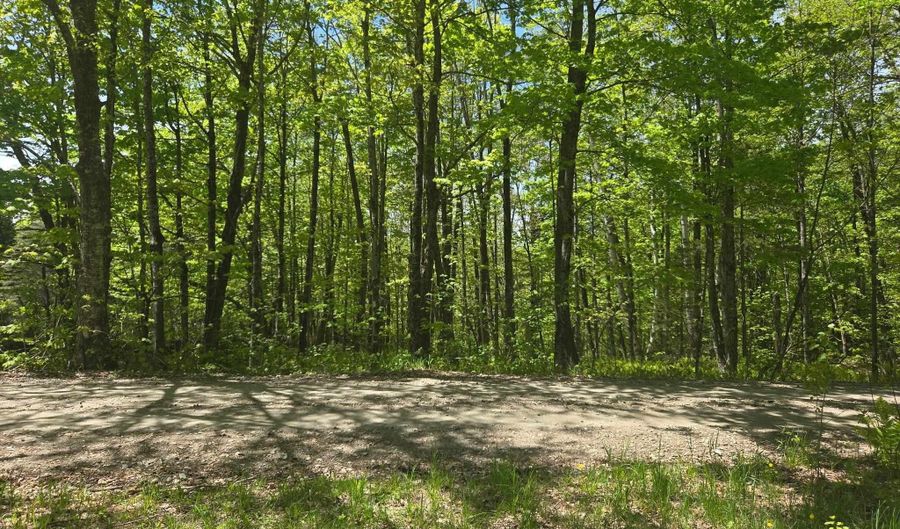 1440 Stevens Rd, Bridgewater, VT 05035 - 1 Beds, 0 Bath