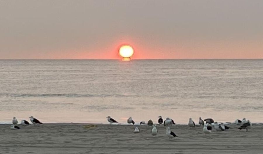 709 Ocean Ave N 8, Avon By The Sea, NJ 07717 - 1 Beds, 1 Bath