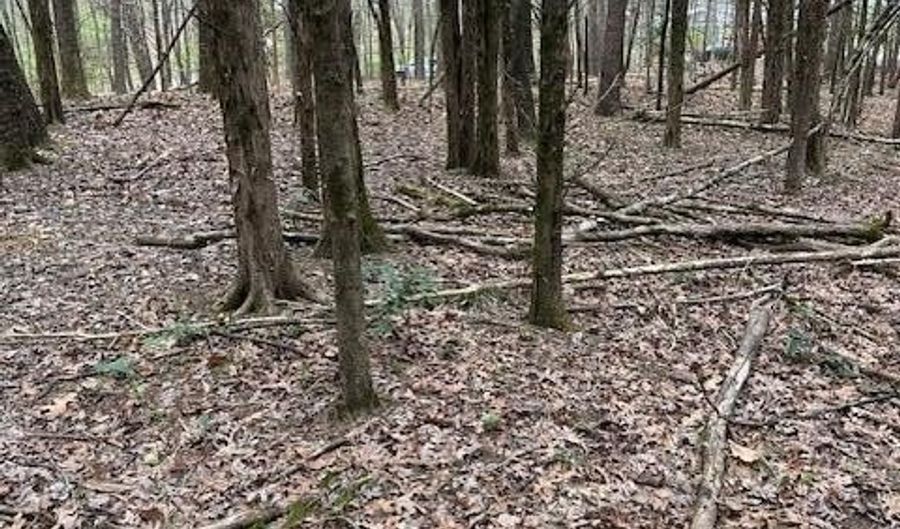 907 Stephanie Ln, Athens, TN 37303 - 0 Beds, 0 Bath