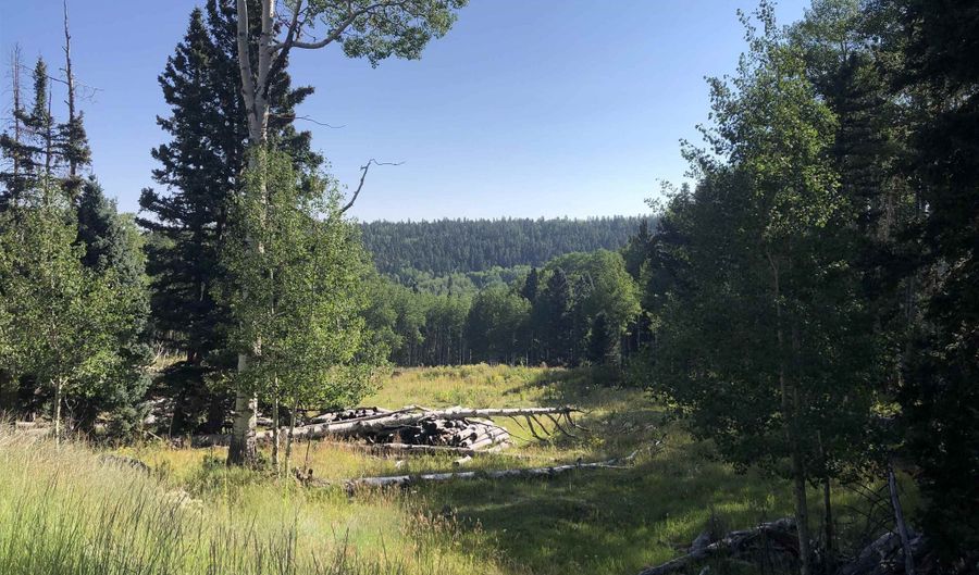 168 Mertz Pl Lot 65, Angel Fire, NM 87710 - 0 Beds, 0 Bath
