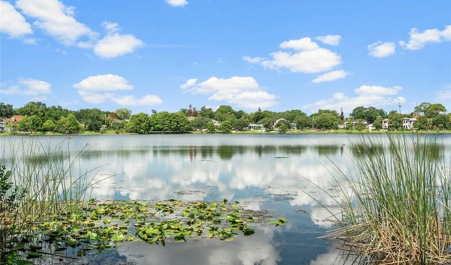 12 E HARVARD St, Orlando, FL 32804 - 3 Beds, 3 Bath