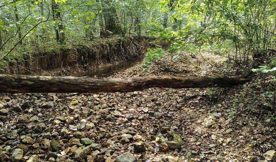 Farm Road 1245, Aurora, MO 65605 - 0 Beds, 0 Bath