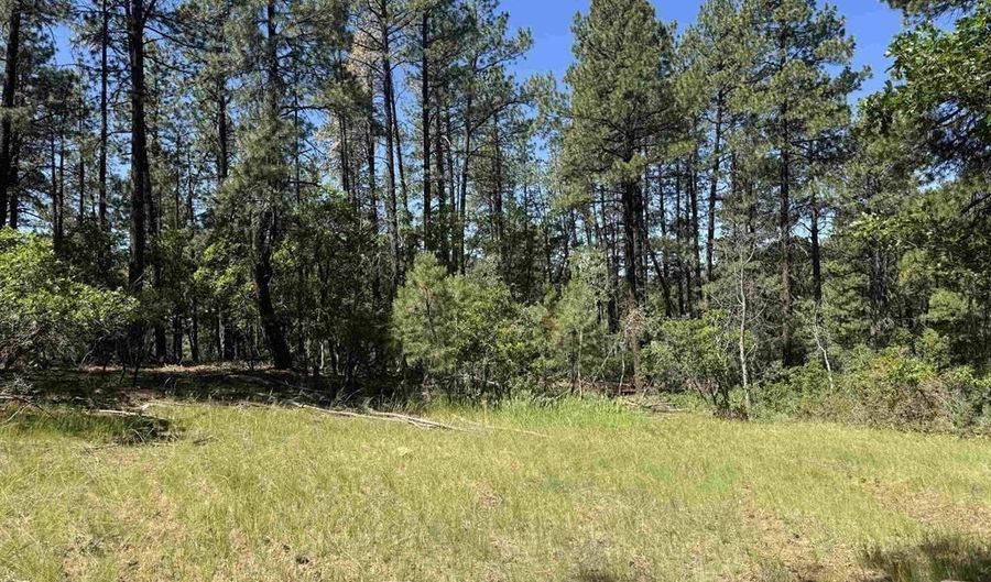 216 Fawn Dr, Bayfield, CO 81122 - 0 Beds, 0 Bath