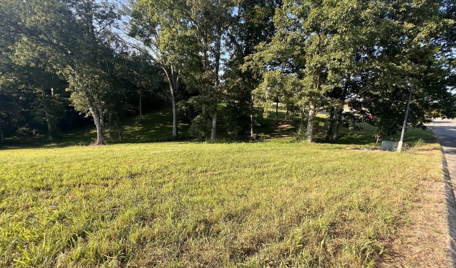 Bear Creek Road lot 37, Birchwood, TN 37308 - 0 Beds, 0 Bath
