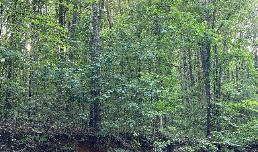 ALEXANDRIA WELLINGTON ROAD lot 14, Alexandria, AL 36250 - 0 Beds, 0 Bath