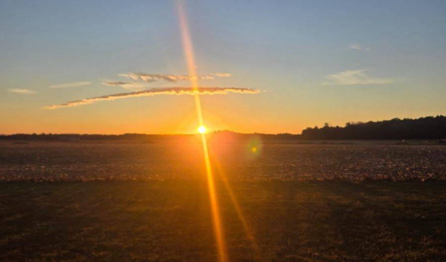 31598 JESTICE FARM Rd, Laurel, DE 19956 - 3 Beds, 2 Bath