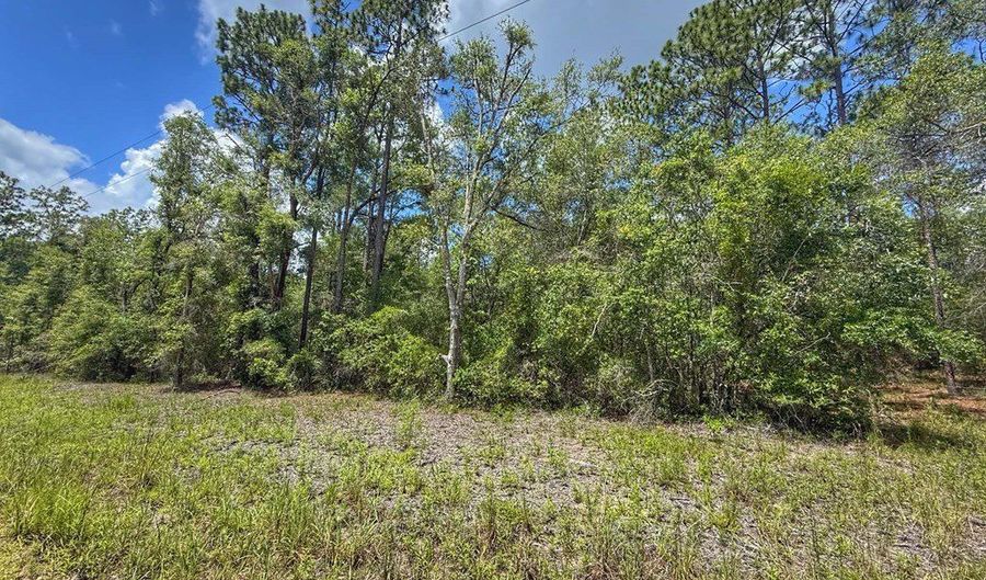 6339 NW 17th Ct, Bell, FL 32619 - 0 Beds, 0 Bath