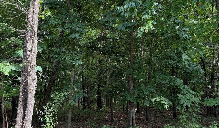 Renfrew Lane lot 12, Bella Vista, AR 72715 - 0 Beds, 0 Bath
