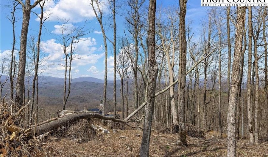 Lot S-127 Silver Eagle Trail, Banner Elk, NC 28604 - 0 Beds, 0 Bath