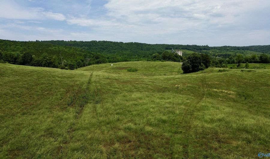 120 Carnes Chapel Rd, Attalla, AL 35954 - 0 Beds, 0 Bath