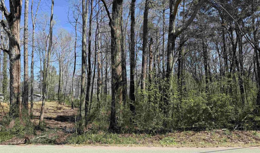 10 Th St SW, Arab, AL 35016 - 0 Beds, 0 Bath
