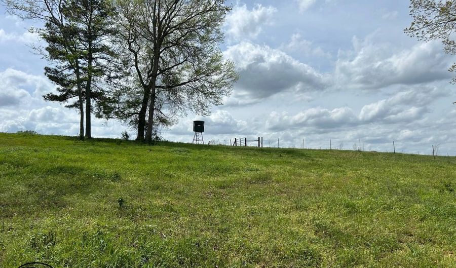 2665 Mt. Carmel Rd, Altoona, AL 35952 - 3 Beds, 2 Bath