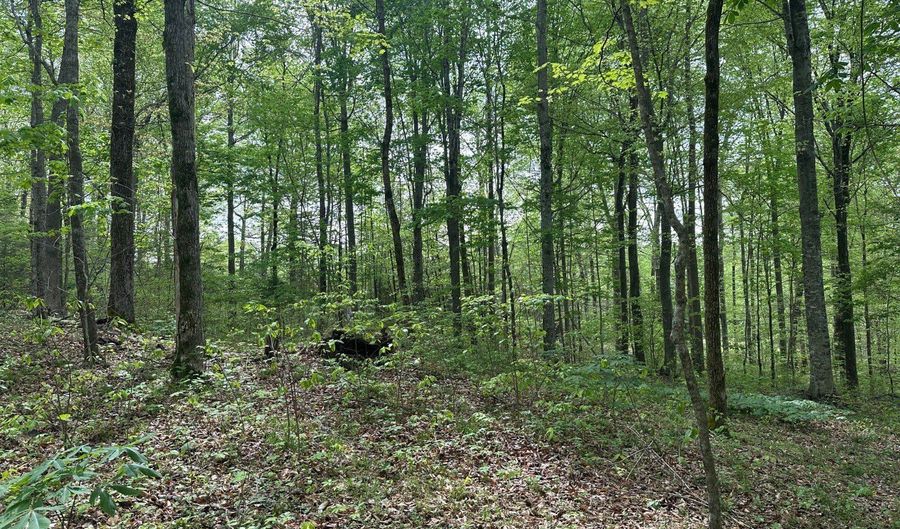 0 Oak Dr./Brady Dr, Albany, KY 42602 - 0 Beds, 0 Bath