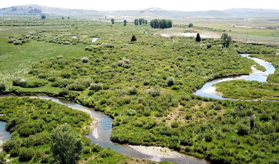 COTTONWOOD-MERNA 23-116, Daniel, WY 83115 - 0 Beds, 0 Bath