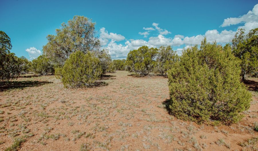 Pulp Mill Road, Clay Springs, AZ 85923 - 0 Beds, 0 Bath